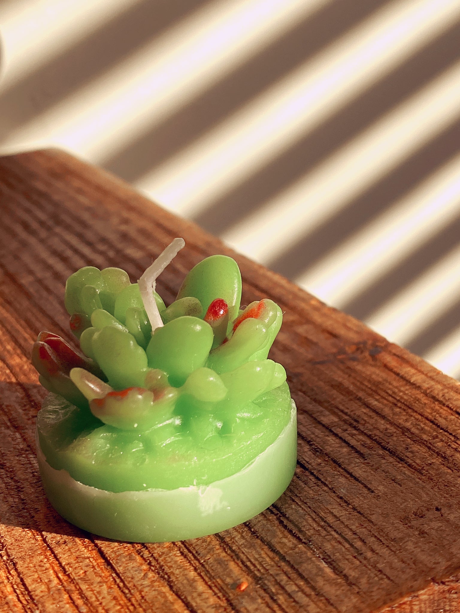 Miniature Cactus Candles 100% Beeswax